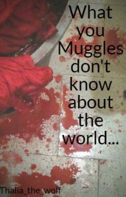 What you Muggles don't know about the world...