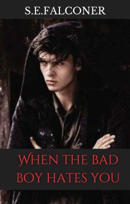 Read Stories When The Bad Boy Hates You - TeenFic.Net