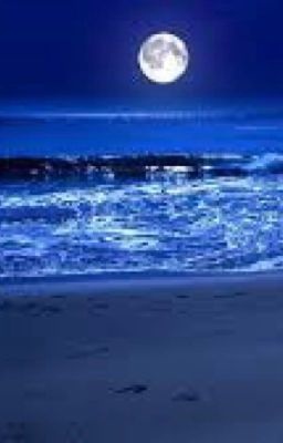 When the sea touches the moon book 1: the lighting thief 