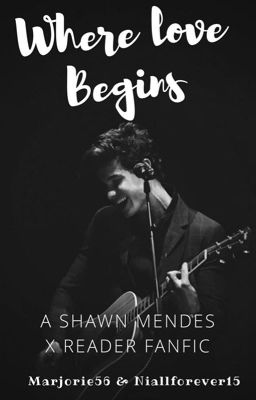 Where Love Begins (A Shawn Mendes X Reader Fic)