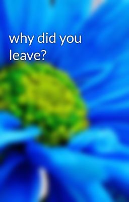 why did you leave?