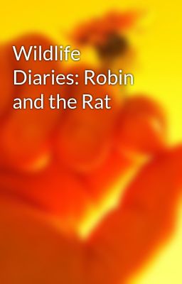 Wildlife Diaries: Robin and the Rat