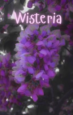 Wisteria