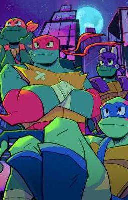 Read Stories With A Purpose [ROTTMNT x Reader Insert] - TeenFic.Net