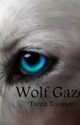 Read Stories WOLF GAZE - TeenFic.Net