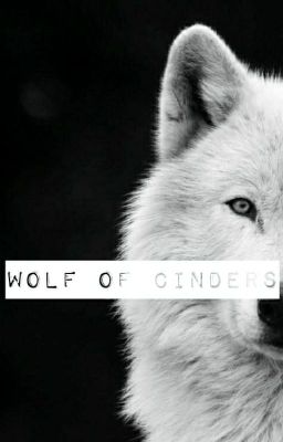 Wolf of Cinders