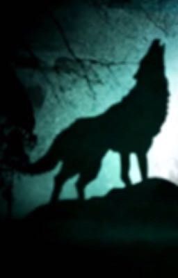 Wolfblood information 