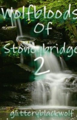 Wolfbloods of Stoneybridge Part 2 (A Wolfblood Fanfiction)