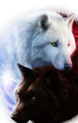 Wolves trust and protection 