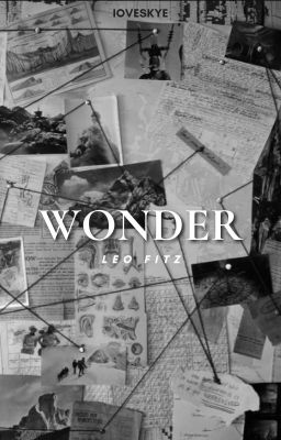 Wonder || Leo Fitz