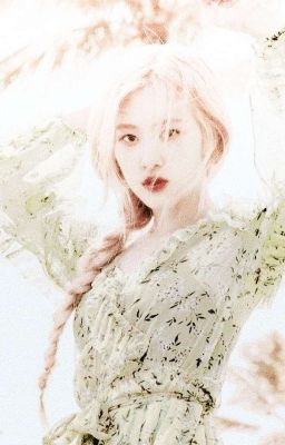 wonderland | rosé + idols