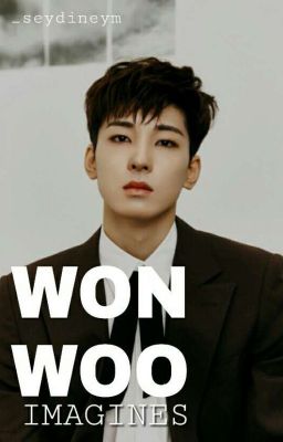 Wonwoo Imagines •♡