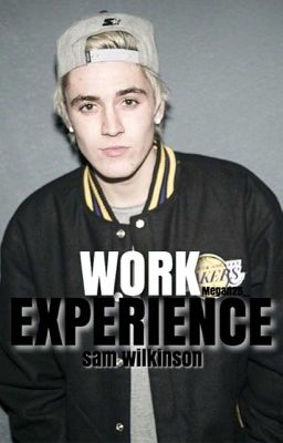 work experience ~ s.w