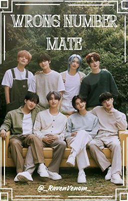 Wrong Number Mate (stray kids fanfic)