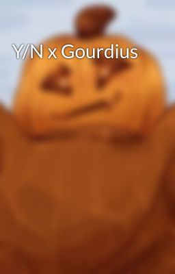 Y/N x Gourdius