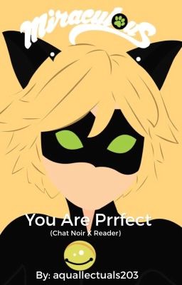 You are Prrfect (Chat Noir/Adrien x reader) [EDITING]