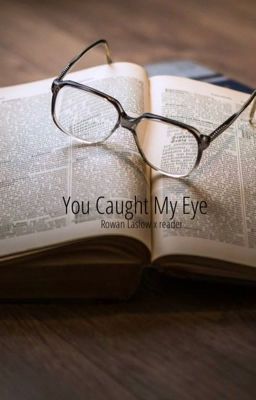 You Caught My Eye | Rowan laslow x reader