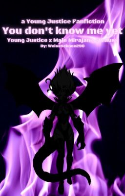 You don't know me yet (Young Justice)