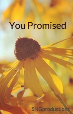 You Promised