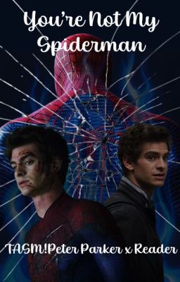 Read Stories You're Not My Spiderman | TASM!Peter Parker x Reader - TeenFic.Net