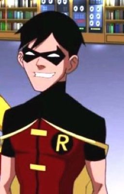 Young justice robin x reader: bird love 
