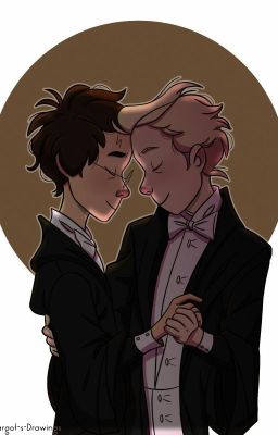 Yule Ball [Drarry] [Hermione/Krum/Ron]