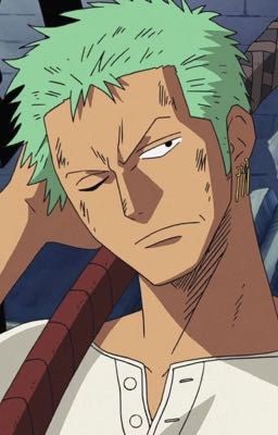 zoro one shots x male reader/male oc's