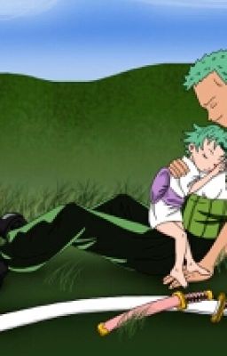 zoro's a what!!!! one piece fanfiction