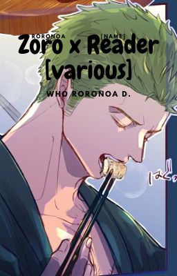 Zoro x Reader Oneshots