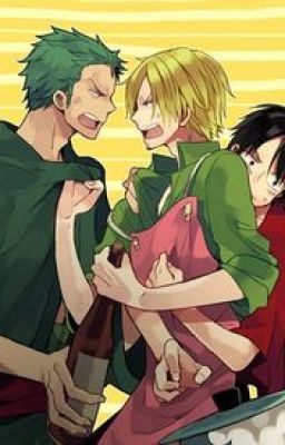 Zoro x Sanji x Luffy x Reader