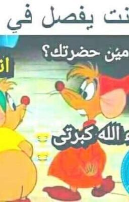 نكت اضحك من وسط قلبك 