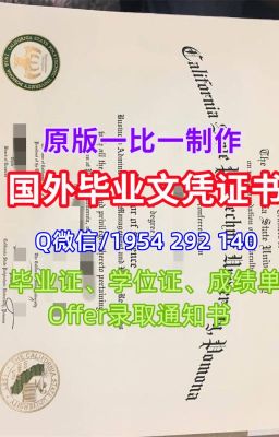 一比一原版(英国切斯特大学文凭证书)切斯特大学文凭证书如何办理