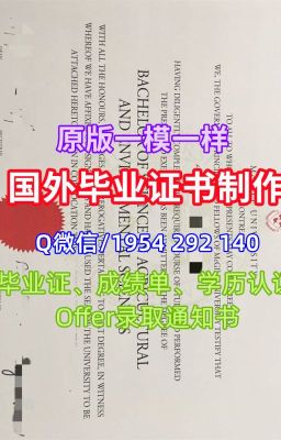 法国毕业文凭证书急速办理波尔多一大毕业证书扫描件正式成绩单|开除法国毕业文凭证书|波尔多一大托业成绩单原版制作|法国 Master Degree