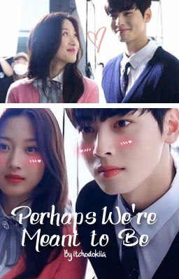 𝐏𝐞𝐫𝐡𝐚𝐩𝐬 𝐰𝐞 𝐰𝐞𝐫𝐞 𝐦𝐞𝐚𝐧𝐭 𝐭𝐨 𝐛𝐞; ShinShin Couple Fanfic