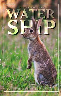 𝗪𝗔𝗧𝗘𝗥𝗦𝗛𝗜𝗣      ━━      watership down roleplay