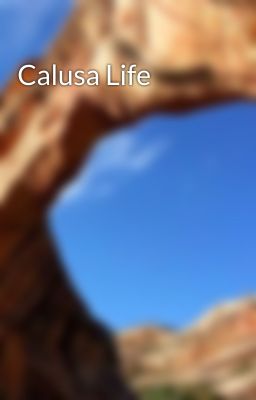 Calusa Life