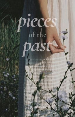 Pieces of the Past