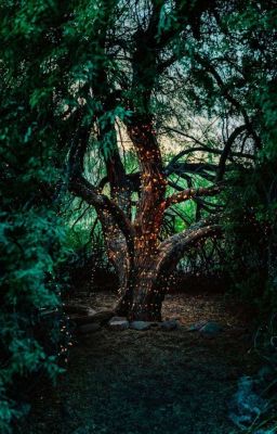 THE IMMORTAL WORLD  